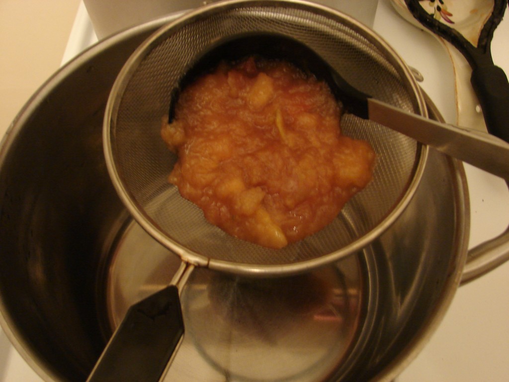 Straining Apple Pulp, Photo: Eric Colleary