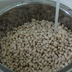 Senate Bean Soup: Wash the Beans, Photo: Eric Colleary