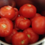 Tomatoes in Pot, Photo: Eric Colleary
