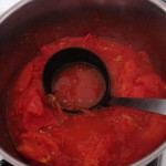 Tomato Pulp, Photo: Eric Colleary