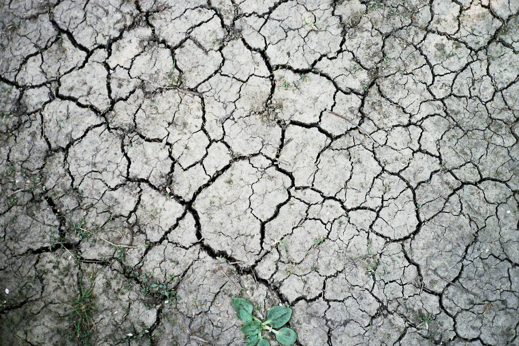 Drought, Photo: Ewan Bellamy, CCL
