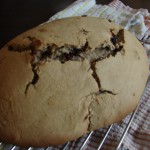 Finished Election Cake, Cooling