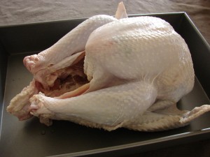 Turkey out of the Brine