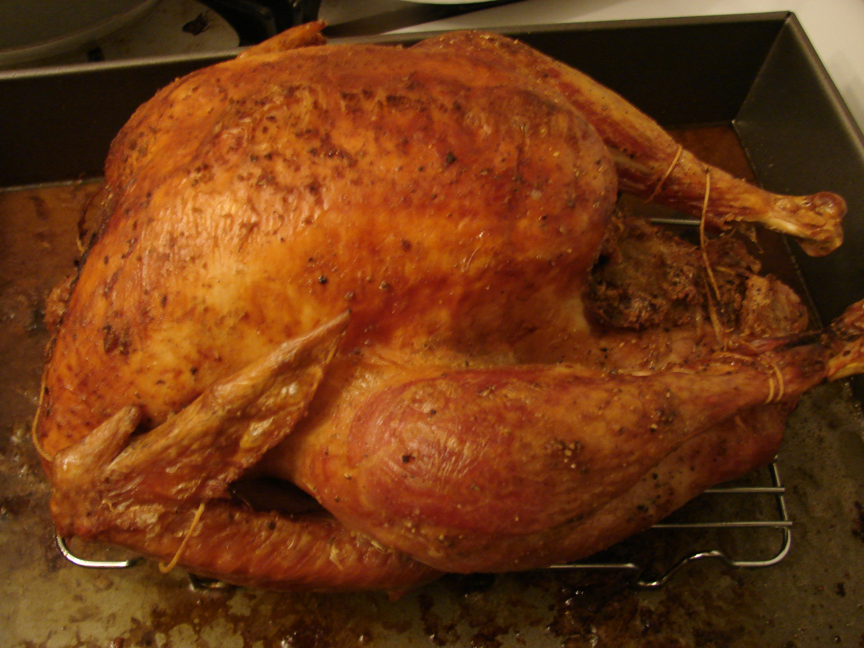 Turkey Beauty
