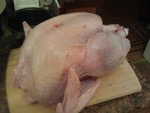 Turkey
