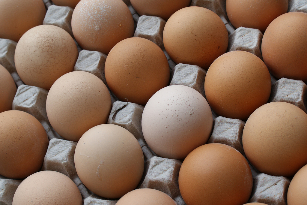 Eggs, Source: Flickr, pietroizzo - CCL