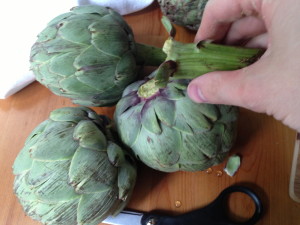 Preparing the Artichoke